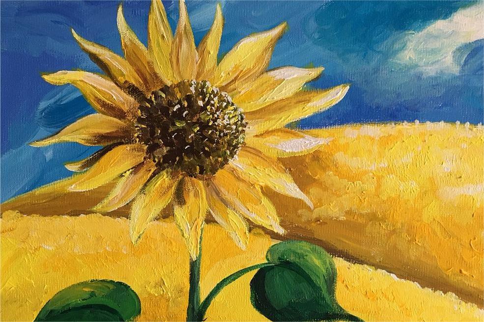 Features of the canvas